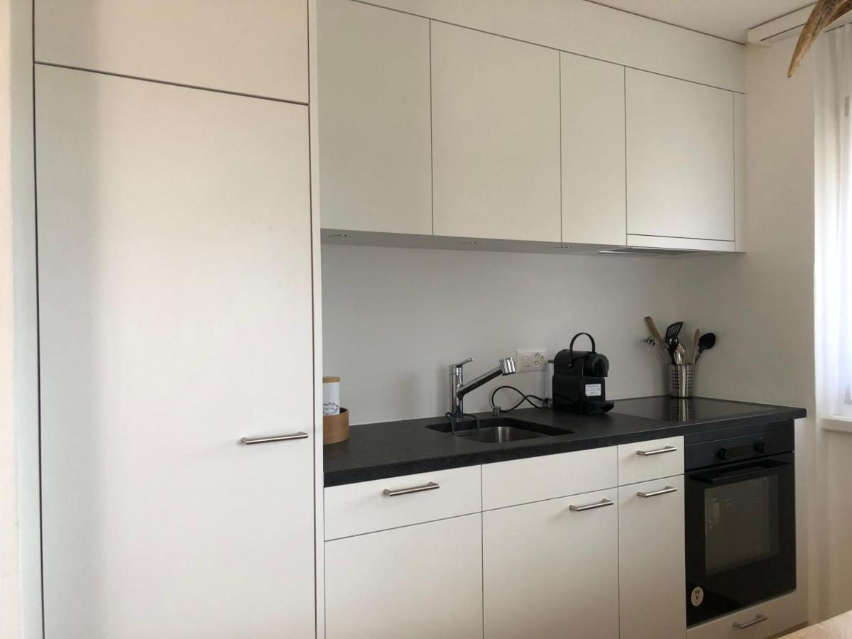 Renovated 3 Rooms Apartment In Ruschein Near Laax Zewnętrze zdjęcie